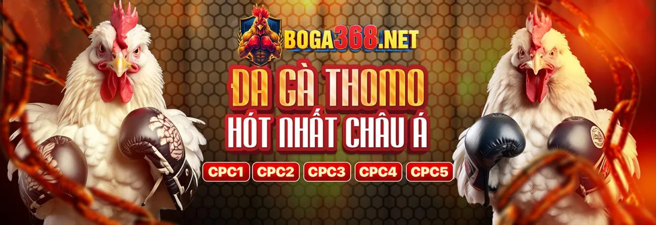 Hình ảnh tổng quan về nền tảng sodo666 link vào